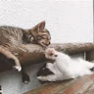 Meet your Posher, Jordyn